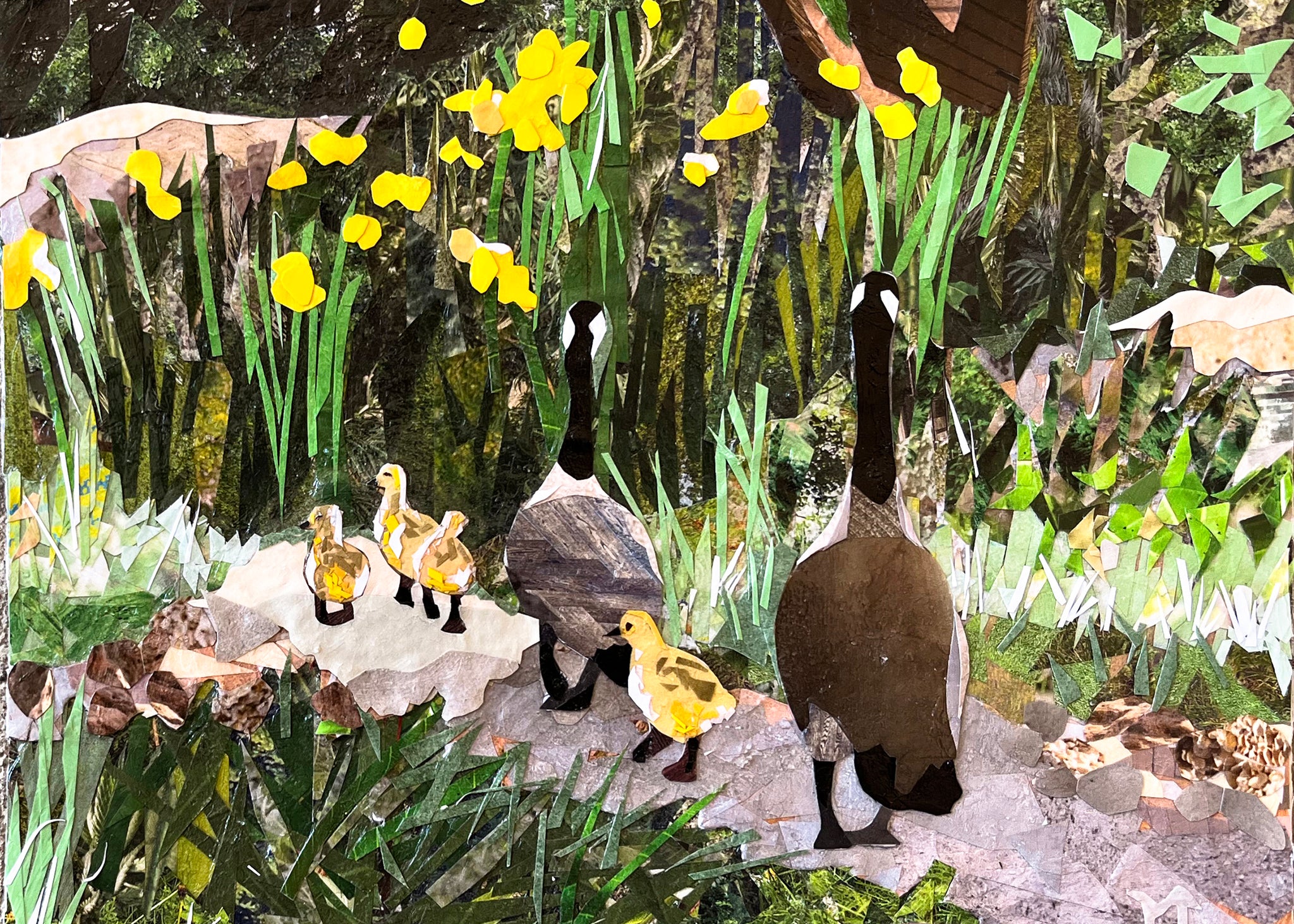 Waddle Along