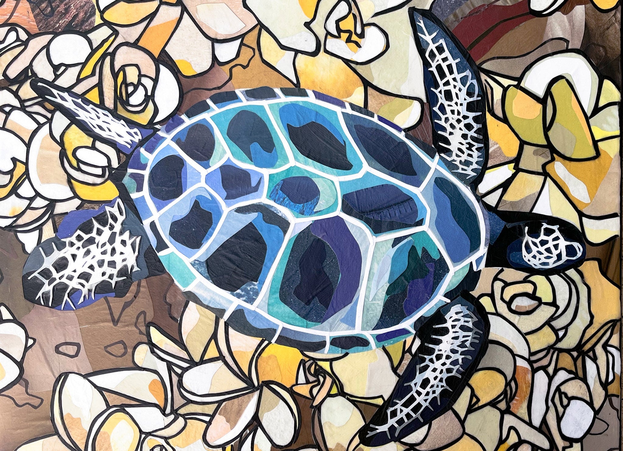 Turtle Time