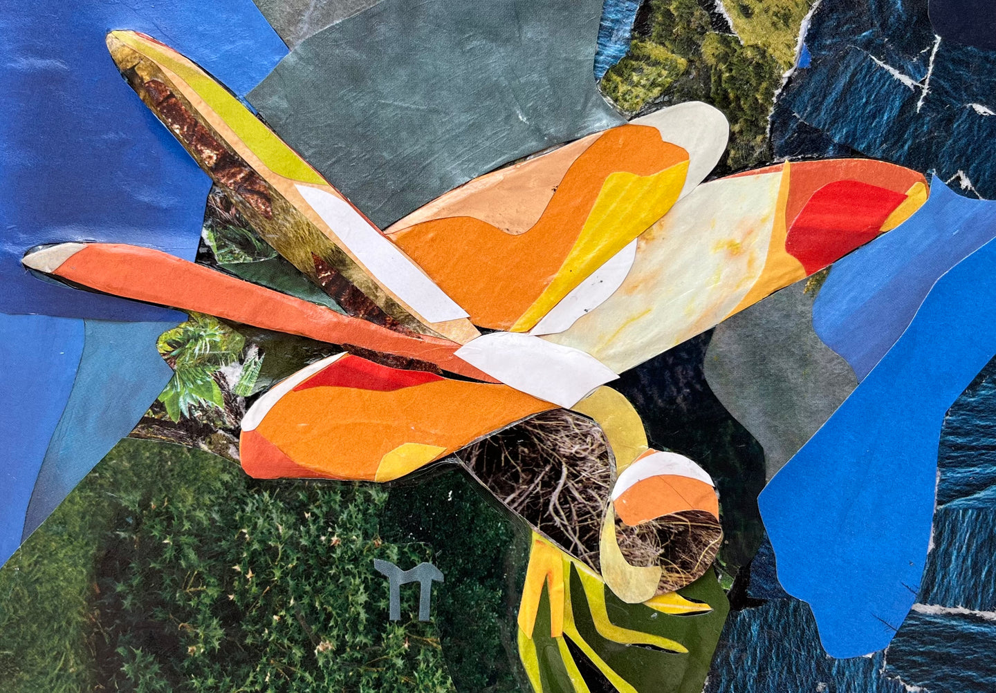 Dragonfly - Original