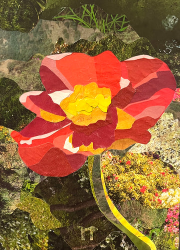 Poppy - Original