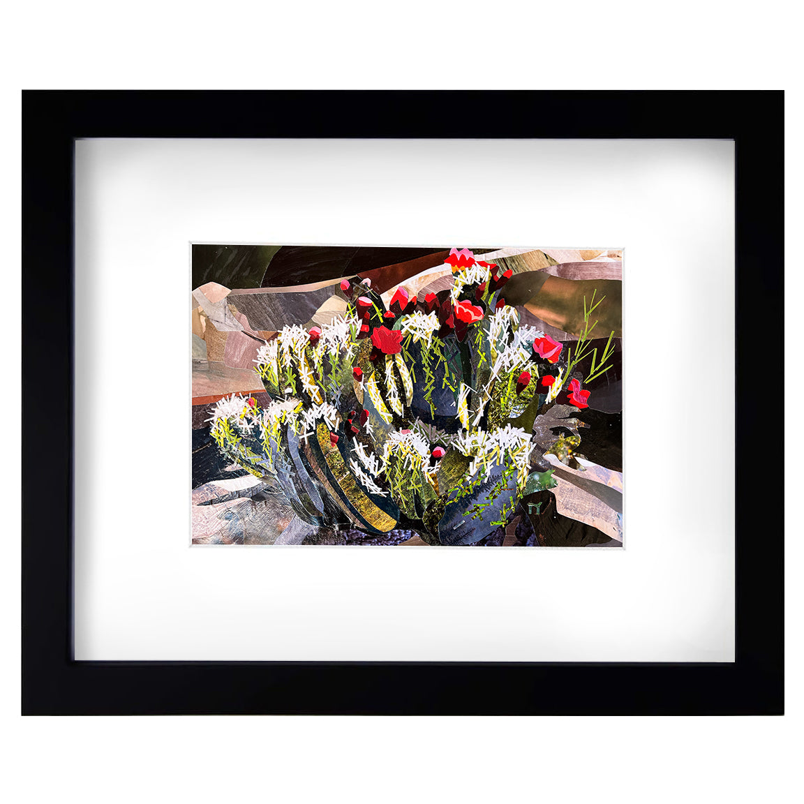 Cactus Bloom - Print