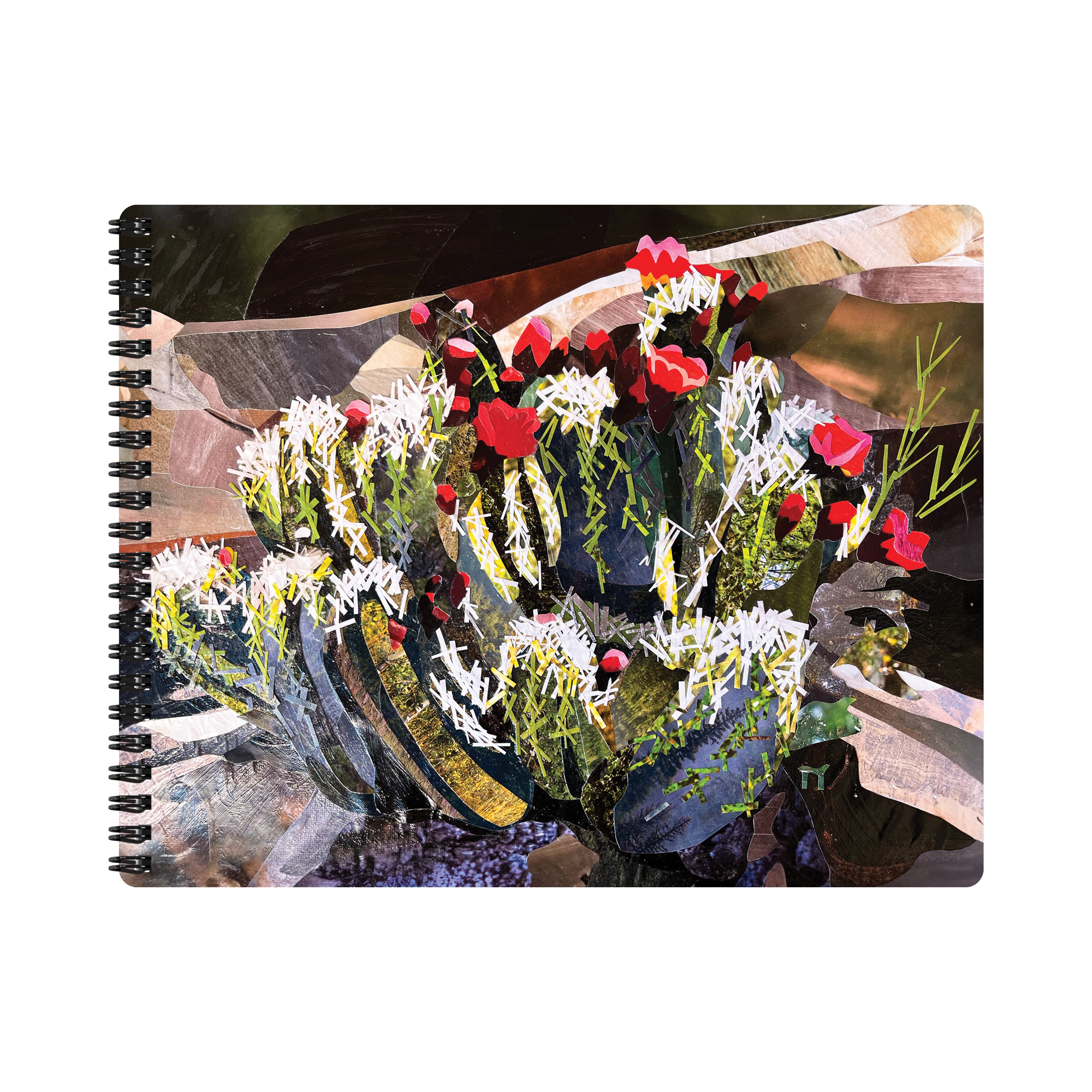 Cactus Bloom - Journal