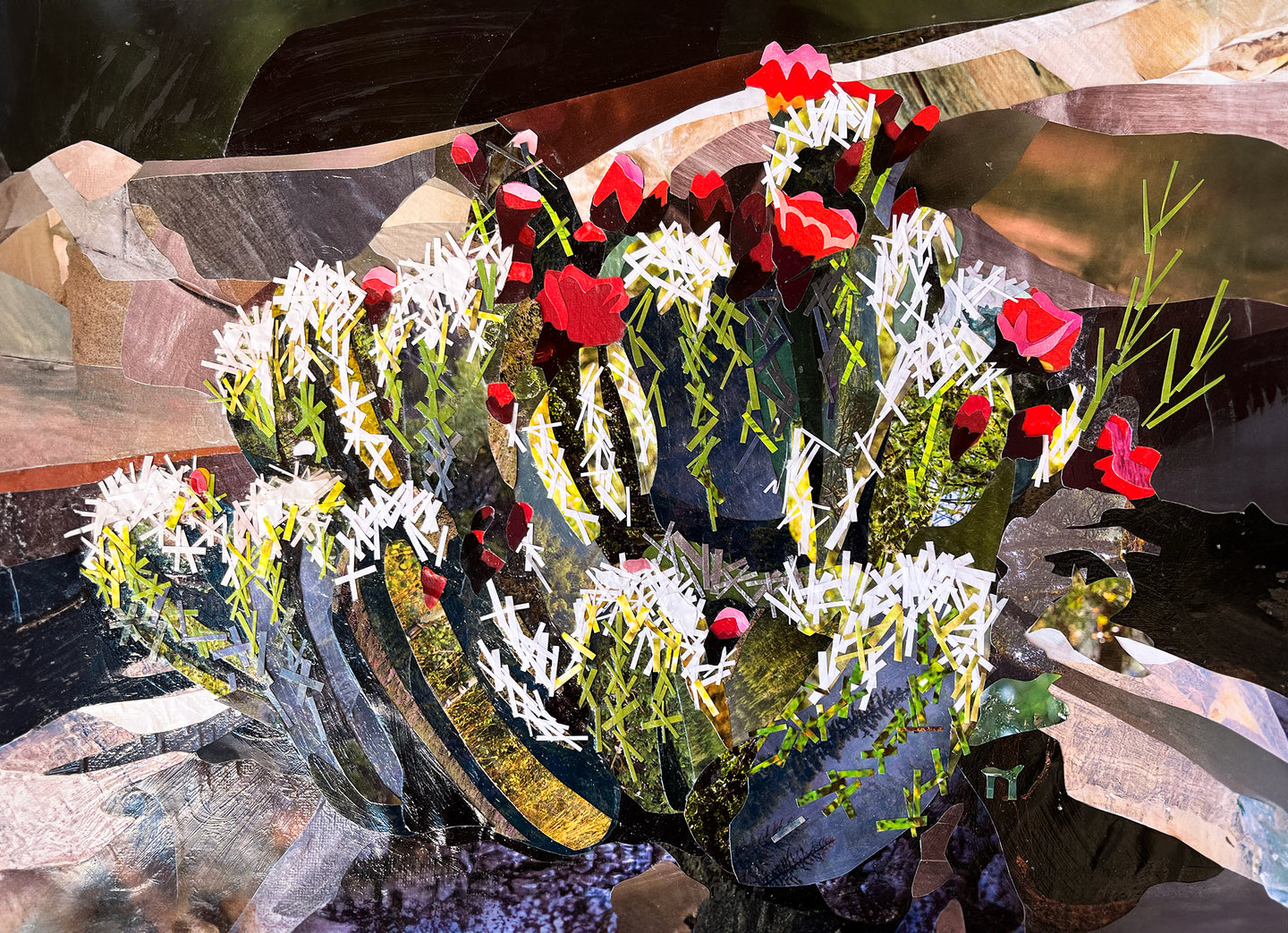 Cactus Bloom - Print