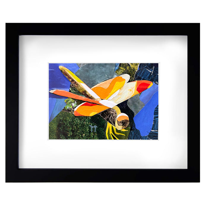 Dragonfly - Framed Print