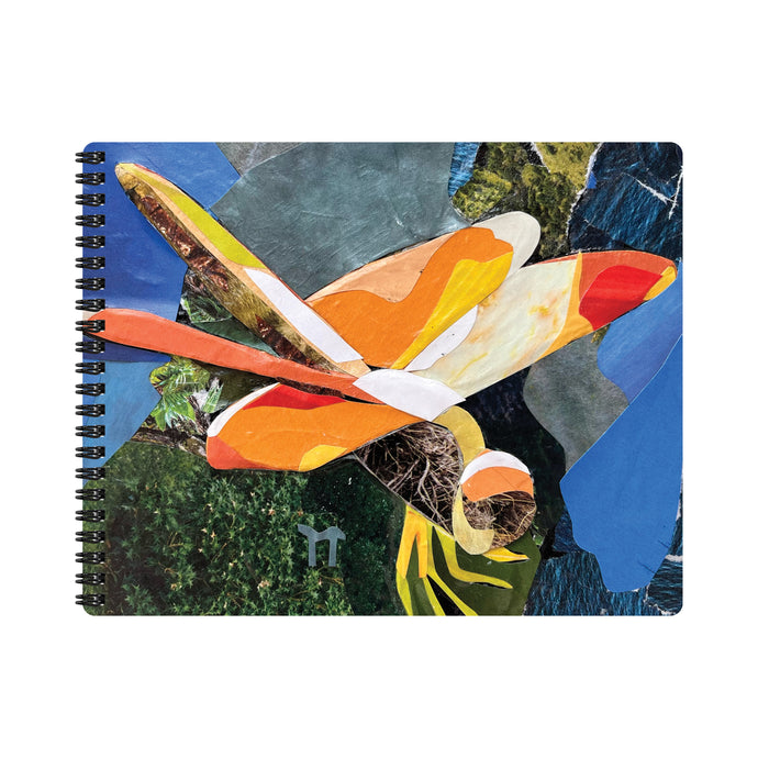Dragonfly - Journal