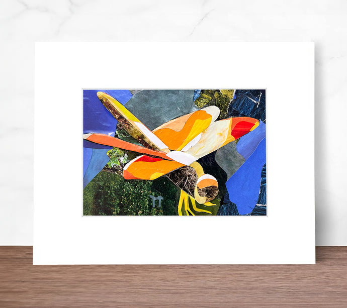Dragonfly - Matted Print