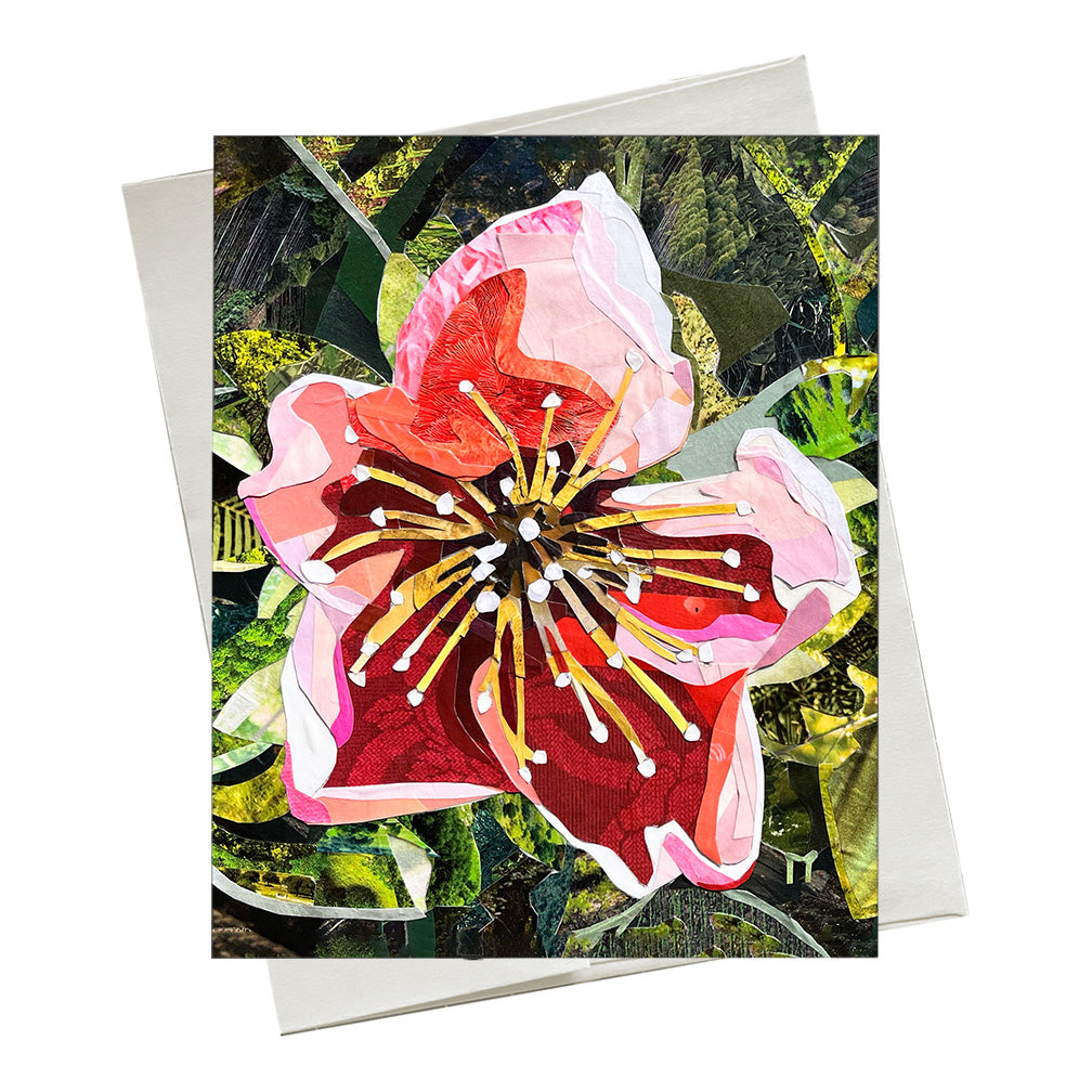 Expansion - Note Card