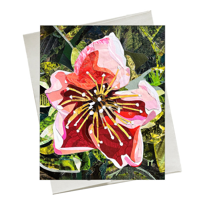 Expansion - Note Card
