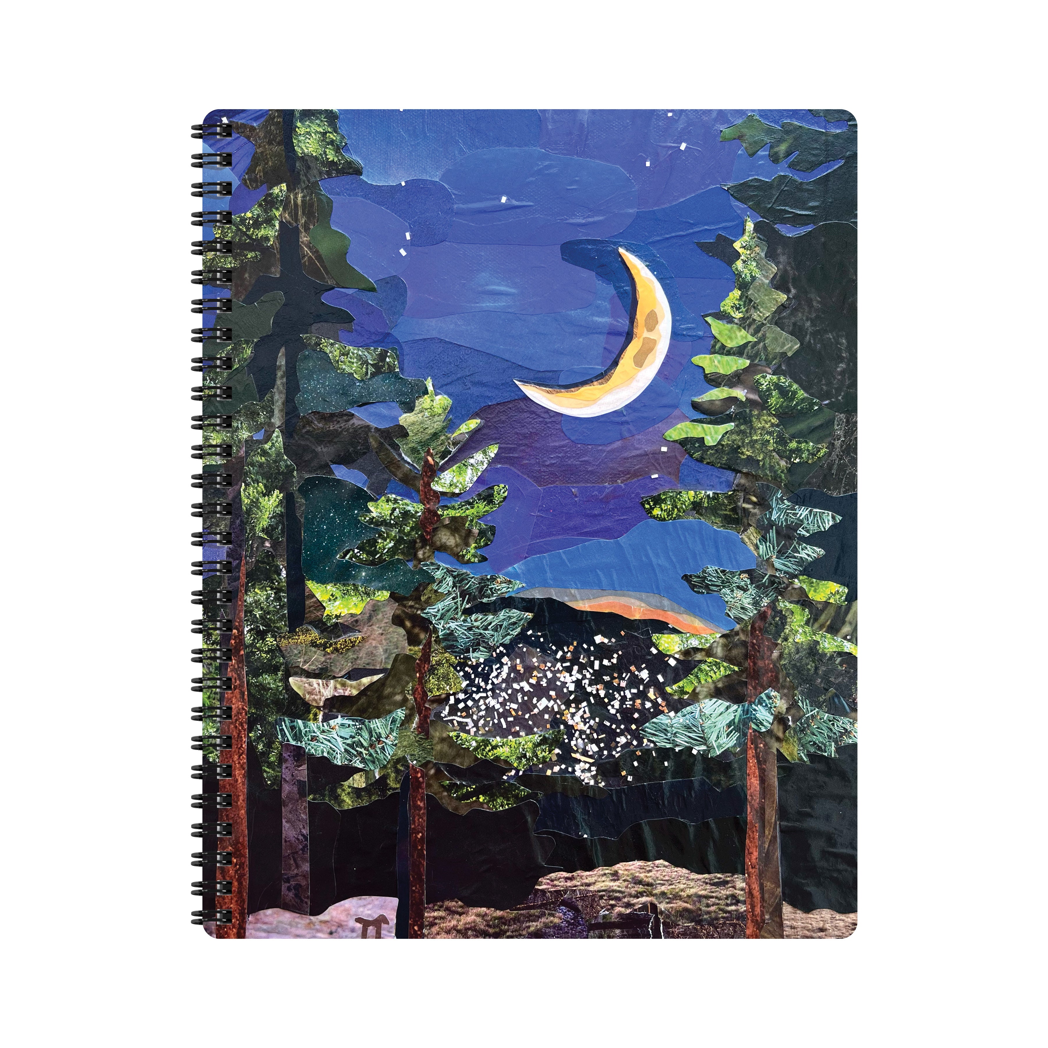 Mountain's Eye View - Journal