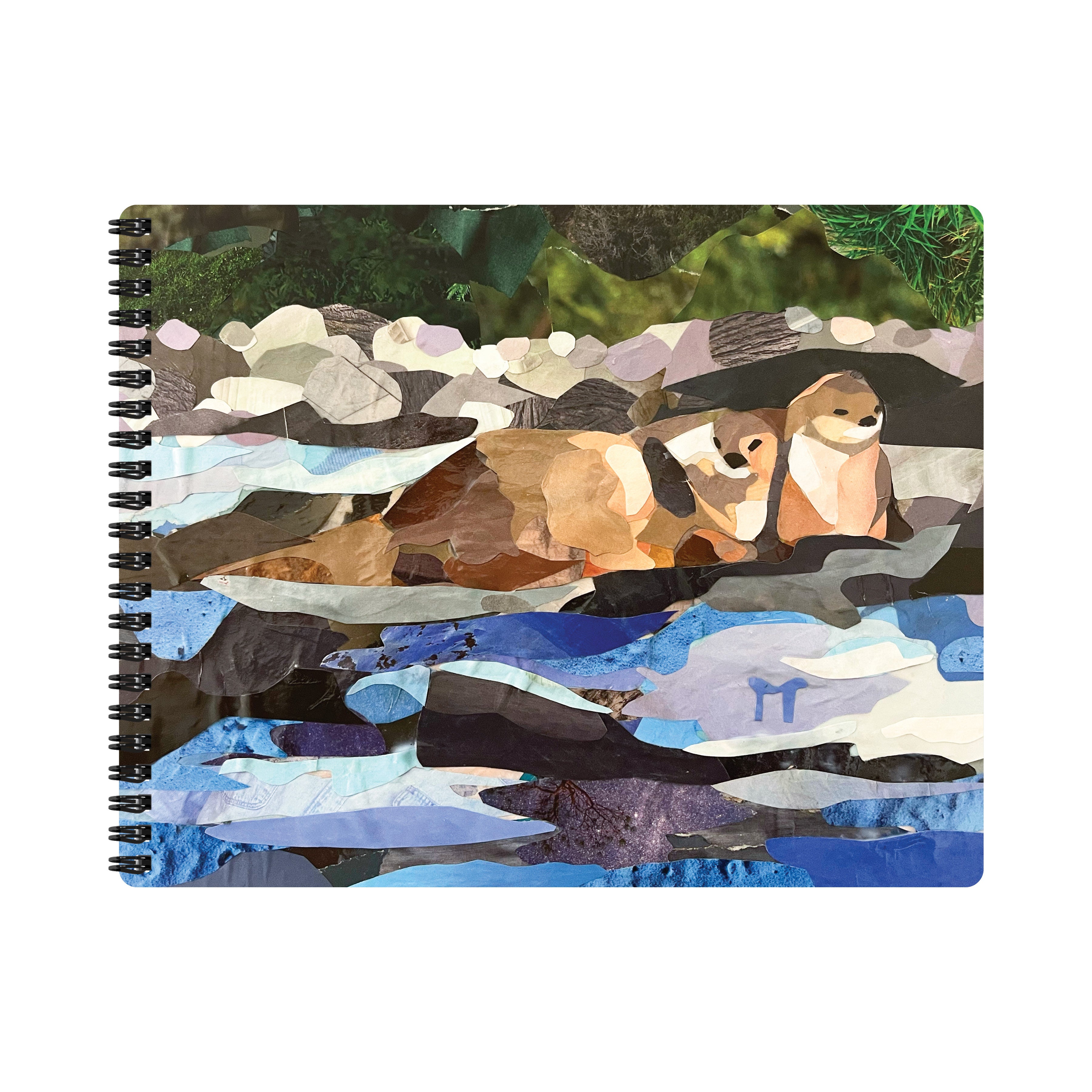 Return of the Otters - Journal