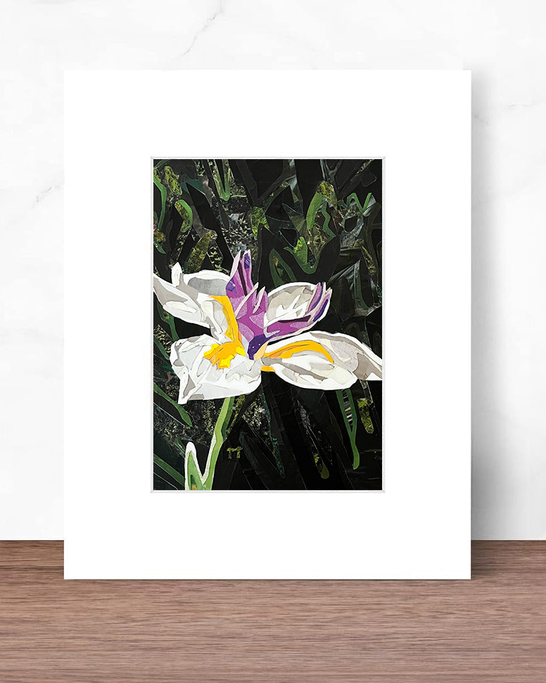 Vitality - Print
