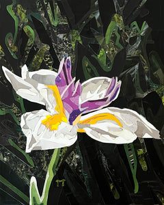 Vitality - Print