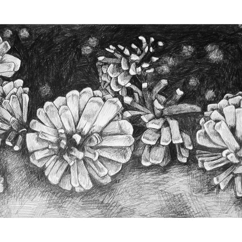 Plant Me Home Sketch - Print