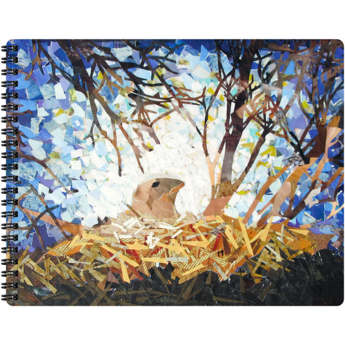 Nest of Light - Journal