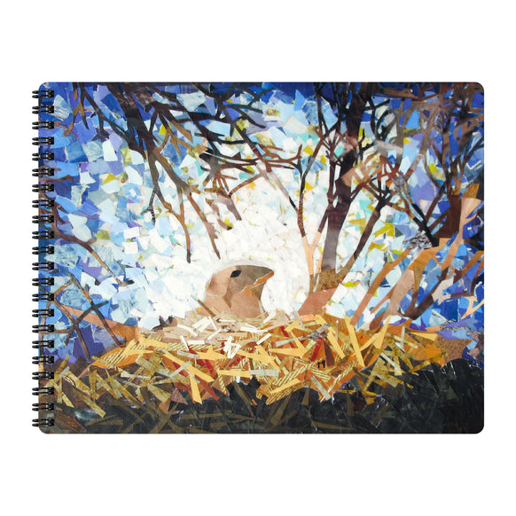 Nest of Light - Journal