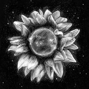 Solar Flower Sketch - Print