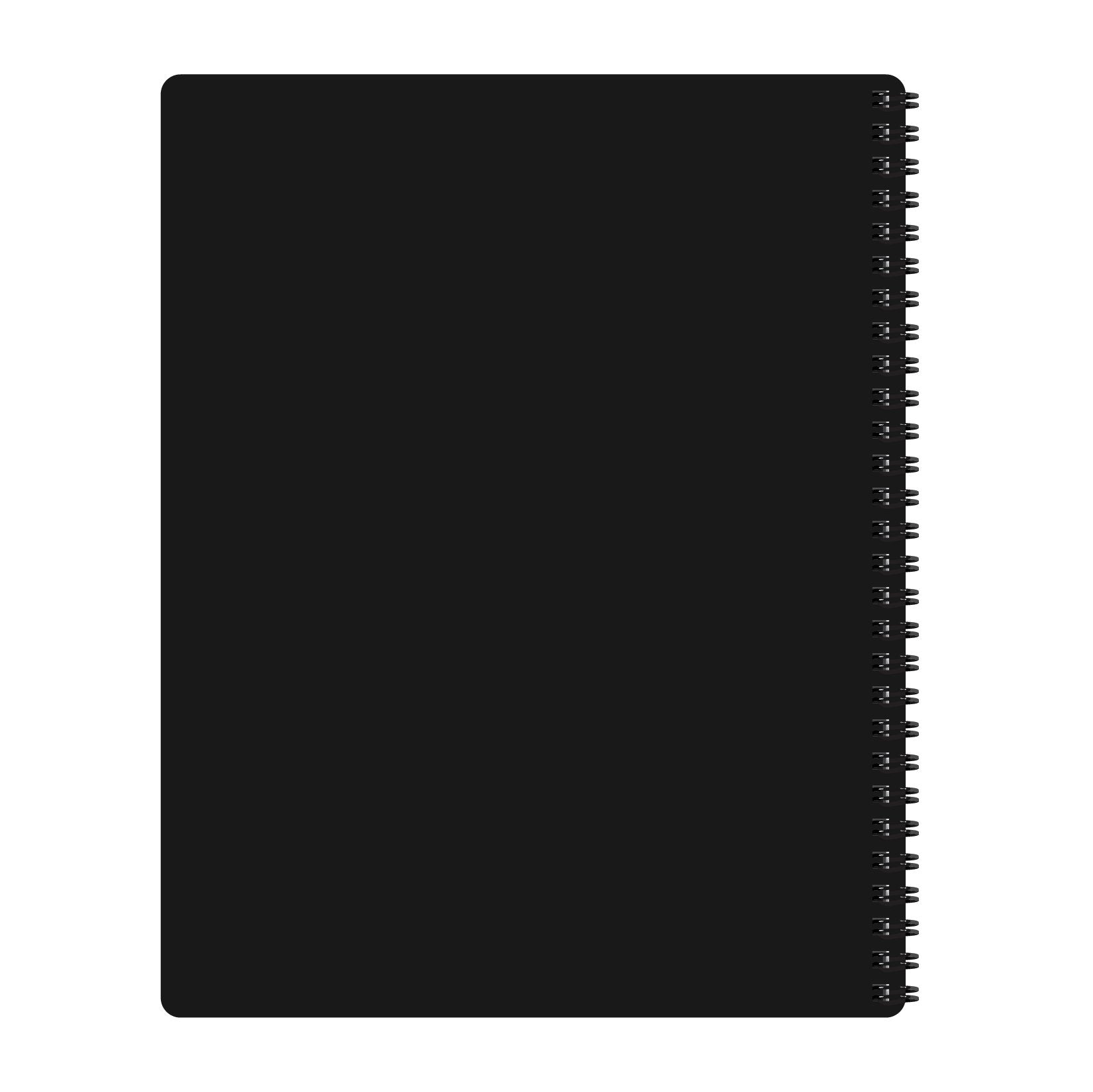 Little Light - Journal